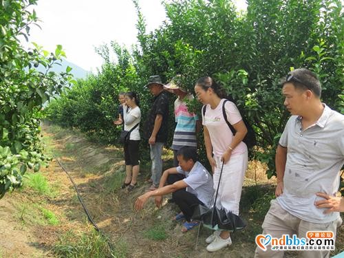 「聚焦基层」蕉城区四个突出推动软弱涣散党组织晋位升级-3.jpg
