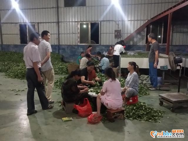 「聚焦基层」蕉城区四个突出推动软弱涣散党组织晋位升级-7.jpg