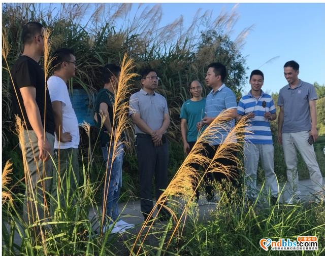 杨文生副市长调研管阳农贸市场、大马士革玫瑰种植基地-1.jpg