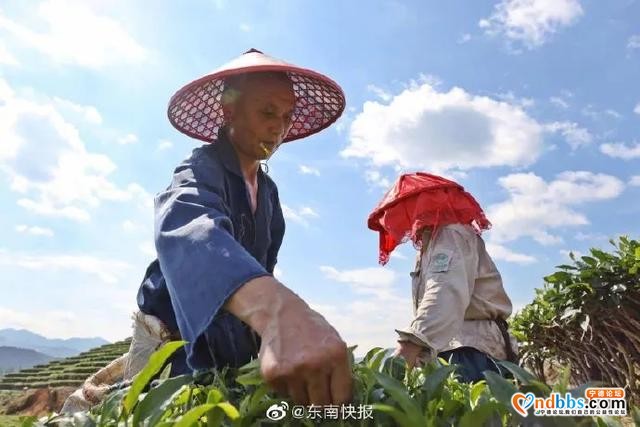衢宁铁路有望年底正式通车！结束福建松溪、政和、屏南、周宁县不通铁路的历史-21.jpg