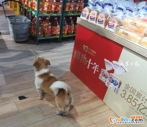 宁德新闻红黑榜?丨竖大拇指！东湖市场干净了、“红马甲”上线了……-8.jpg