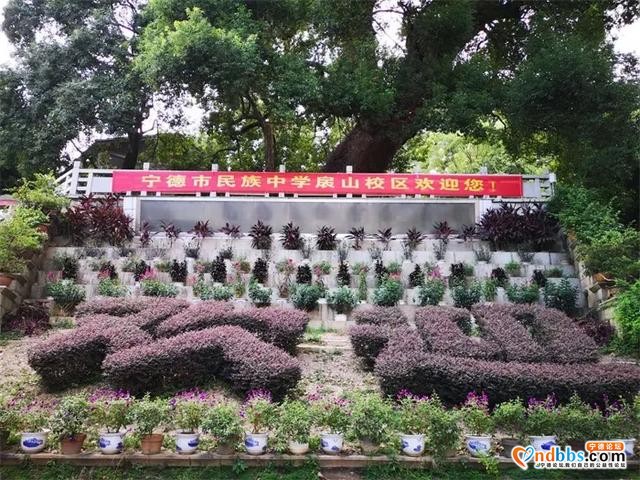 新力量，新征途，大美民中，你我同行——宁德市民族中学2020级高一年级顺利入学-1.jpg