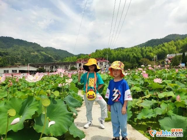 樱花地荷花塘 红色含溪等你来-2.jpg