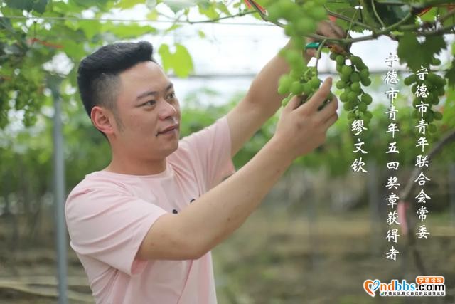 宁德：《绽放的青春》| 缪文钦：在“甜蜜”路上，努力奔跑-1.jpg