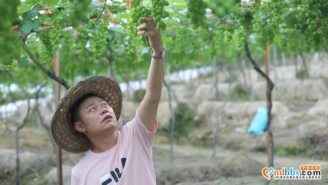 宁德：《绽放的青春》| 缪文钦：在“甜蜜”路上，努力奔跑-4.jpg
