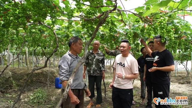 宁德：《绽放的青春》| 缪文钦：在“甜蜜”路上，努力奔跑-5.jpg