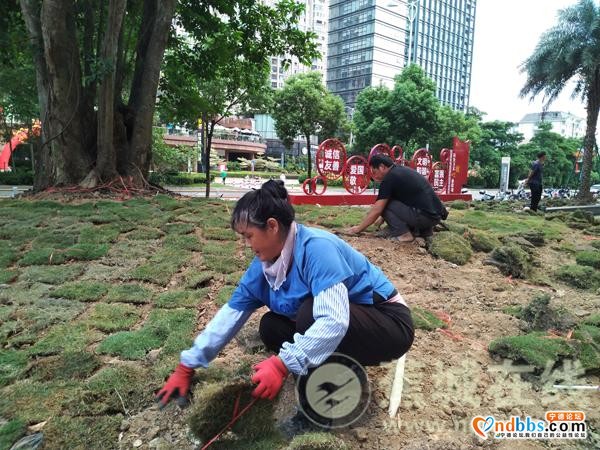 蕉城：助力创城 园林工人在行动-1.jpg