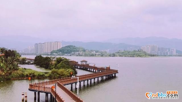 蕉城城市印记丨是什么让你来了蕉城就不想走了？（3）-1.jpg