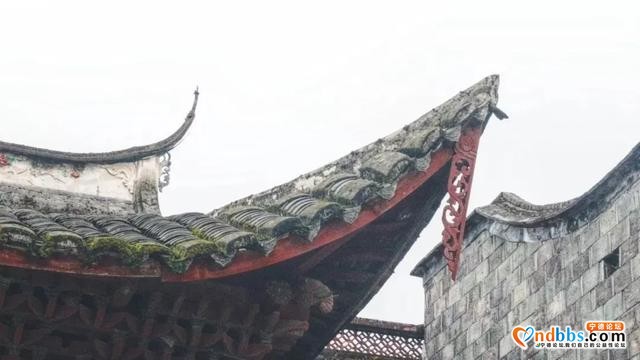 蕉城城市印记丨是什么让你来了蕉城就不想走了？（1）-3.jpg