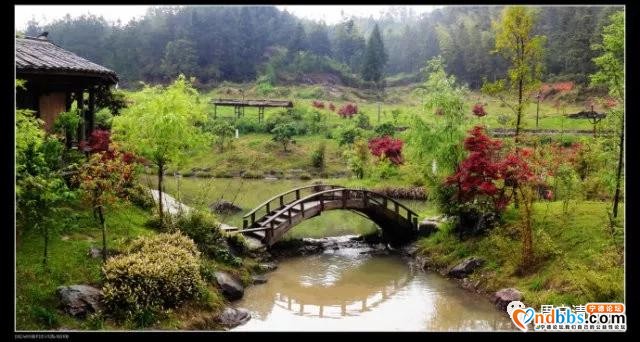 旅游攻略｜中华奇观“鲤鱼溪”|华东“第一瀑布”|漫步云山小镇，体验田园之乐｜福建的“西双版纳”-10.jpg