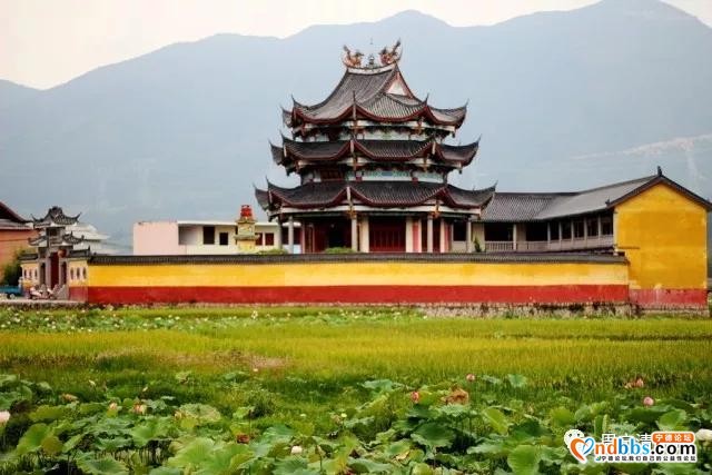 旅游攻略｜中华奇观“鲤鱼溪”|华东“第一瀑布”|漫步云山小镇，体验田园之乐｜福建的“西双版纳”-12.jpg