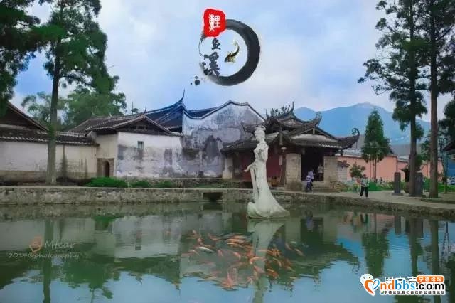 旅游攻略｜中华奇观“鲤鱼溪”|华东“第一瀑布”|漫步云山小镇，体验田园之乐｜福建的“西双版纳”-6.jpg