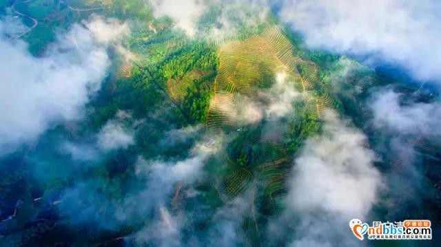 旅游攻略｜中华奇观“鲤鱼溪”|华东“第一瀑布”|漫步云山小镇，体验田园之乐｜福建的“西双版纳”-14.jpg