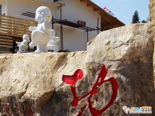 旅游攻略｜中华奇观“鲤鱼溪”|华东“第一瀑布”|漫步云山小镇，体验田园之乐｜福建的“西双版纳”-30.jpg