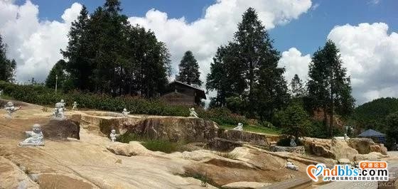旅游攻略｜中华奇观“鲤鱼溪”|华东“第一瀑布”|漫步云山小镇，体验田园之乐｜福建的“西双版纳”-29.jpg