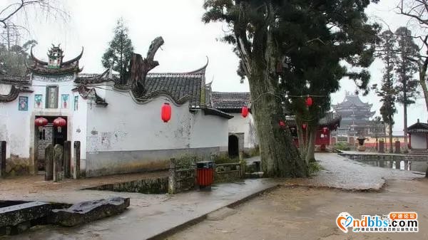 旅游攻略｜中华奇观“鲤鱼溪”|华东“第一瀑布”|漫步云山小镇，体验田园之乐｜福建的“西双版纳”-47.jpg