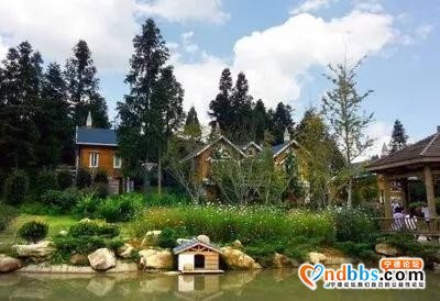 旅游攻略｜中华奇观“鲤鱼溪”|华东“第一瀑布”|漫步云山小镇，体验田园之乐｜福建的“西双版纳”-50.jpg
