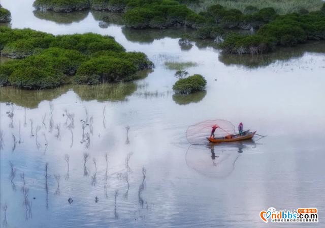 霞浦：盐田鹅湾攻略出炉邀你共赏红树美景-1.jpg