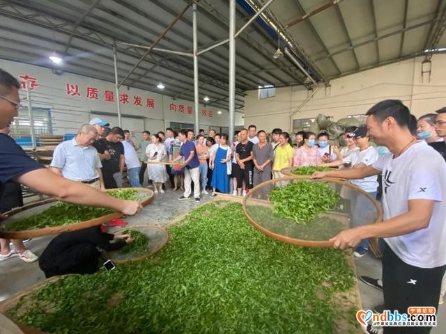 宁德职业技术学院茶叶加工工补贴性免费职业技能培训班（福鼎专场）开班-3.jpg