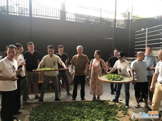 宁德职业技术学院茶叶加工工补贴性免费职业技能培训班（福鼎专场）开班-4.jpg