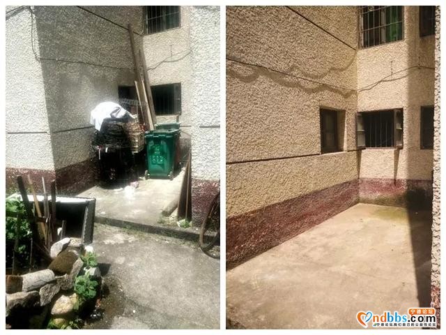 创城公路人在行动丨市公路中心助力创城显成效-1.jpg