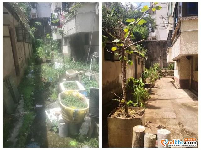 创城公路人在行动丨市公路中心助力创城显成效-3.jpg