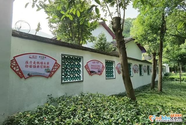 福建宁德：公益广告"潜入"市民生活 文明宣传深入人心-10.jpg