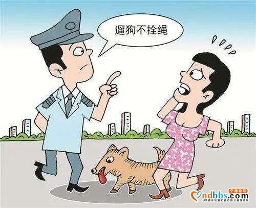 @宁德人，“创城”你了解吗？作为一位普通市民，又该如何参与？-20.jpg