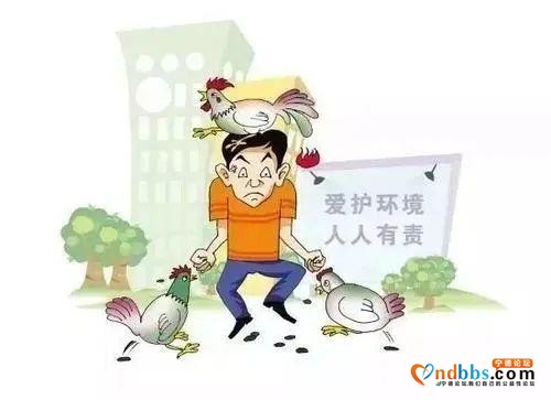 @宁德人，“创城”你了解吗？作为一位普通市民，又该如何参与？-34.jpg