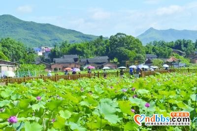 蕉城：让乡村更美丽更宜居-5.jpg