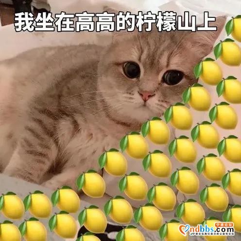 高糖七夕！宁德中院干警甜蜜告白-1.jpg