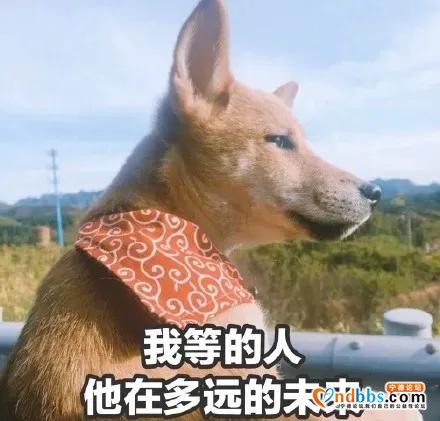 高糖七夕！宁德中院干警甜蜜告白-10.jpg