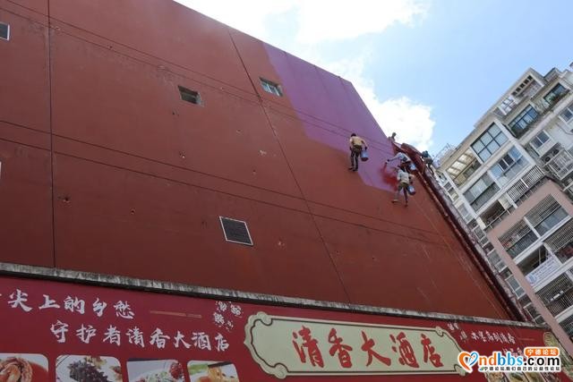 四方联动，沃尔玛“褪”去繁杂清新登场-14.jpg