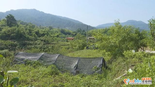 省卫健委、文旅厅专家组调研宁德市畲族医药文化宣传教育基地建设工作-4.jpg