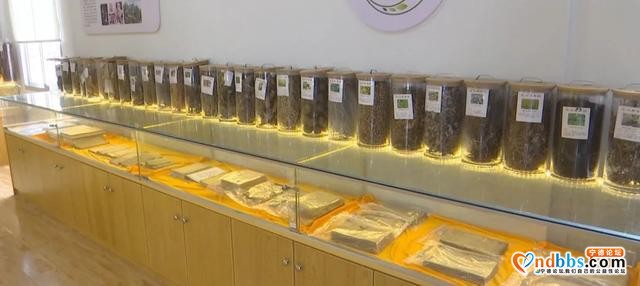 省卫健委、文旅厅专家组调研宁德市畲族医药文化宣传教育基地建设工作-12.jpg