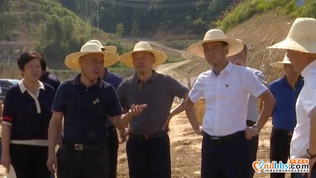 古田县委书记县长调研城西工业区标准化厂房建设项目-1.jpg