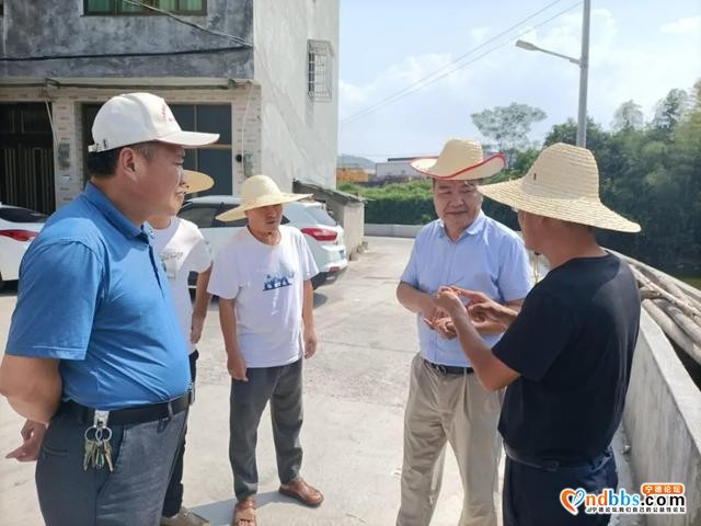 福鼎市委副书记李成双率队巡河，调研双岳溪水质提升工作-1.jpg