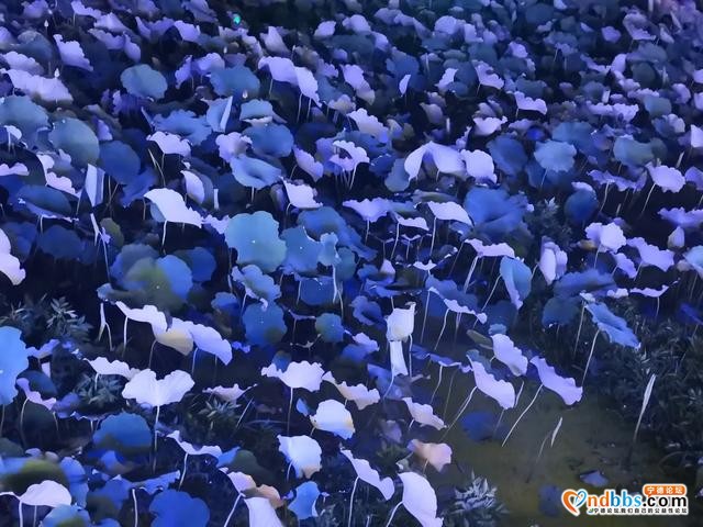 纪念撤地设市20周年 | 民革宁德市委员会“纪念宁德撤地设市二十周年书画影作品展”来了-15.jpg