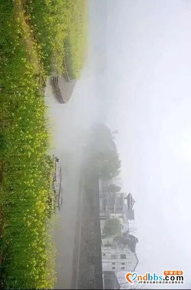 云遮雾绕，如梦似幻~看！烟雨宁德美得像仙境→-7.jpg