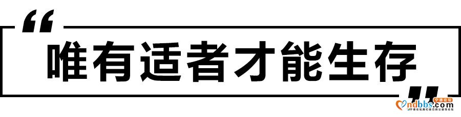 合体or分离，动力电池该去哪？宁德时代还是留了一手-14.jpg