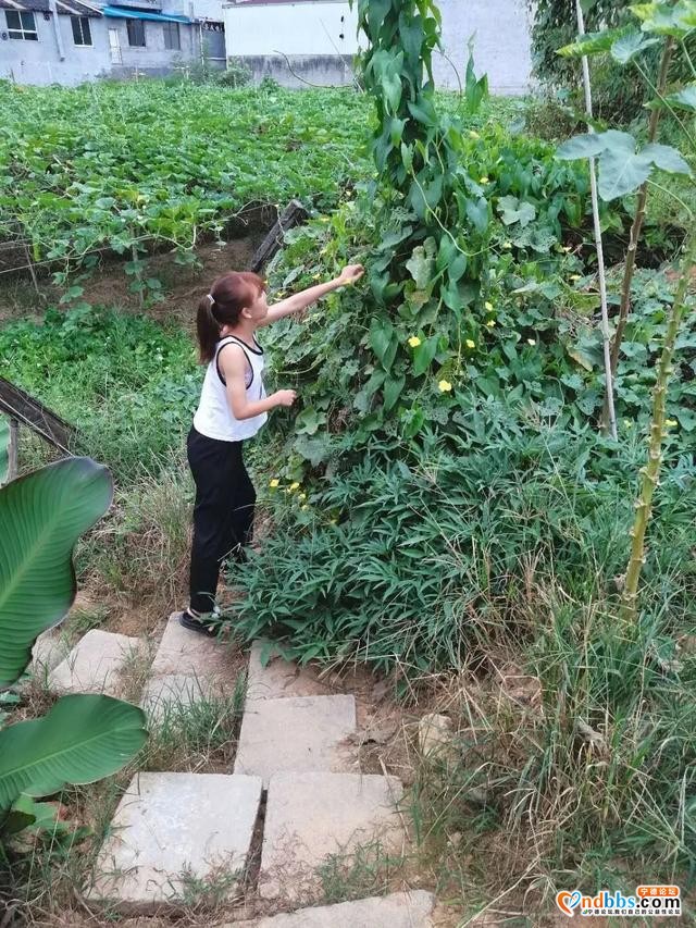 宁德：校内热点 |“乡”约盛夏，助力乡村振兴-3.jpg