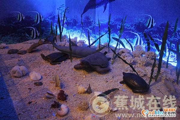 区科技局开展科技·人才活动周活动-8.jpg