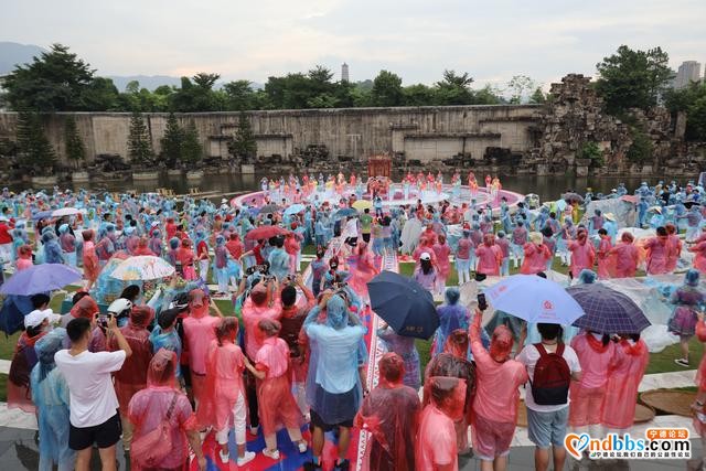 “心连心”慰问演出播出前 听听参与者怎么说-5.jpg