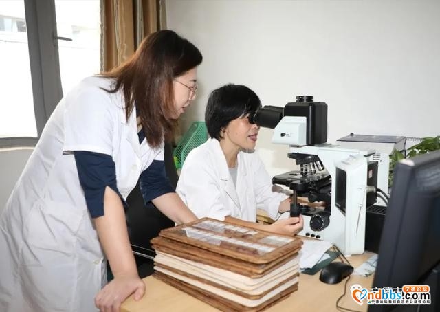 宁德：病理医生：显微镜下捍卫医学之本-1.jpg