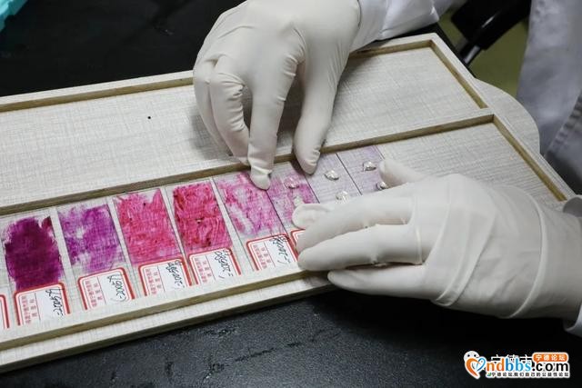 宁德：病理医生：显微镜下捍卫医学之本-3.jpg