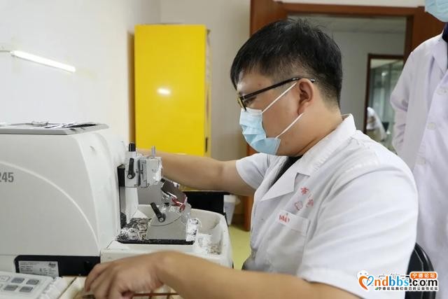 宁德：病理医生：显微镜下捍卫医学之本-8.jpg
