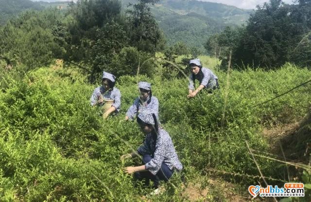 宅中：做好农文旅融合 传统古村焕新颜-15.jpg