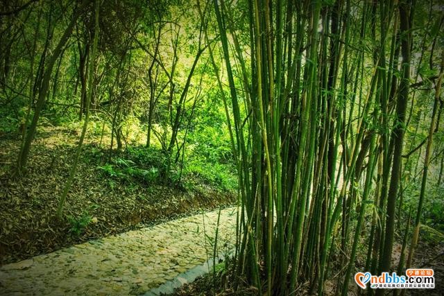 宁德这处古村落素有“小太姥”之称，来一趟带你做回乡下人-9.jpg