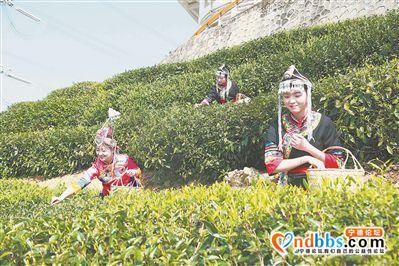 走进宁德基地 体验核电生态之美-2.jpg
