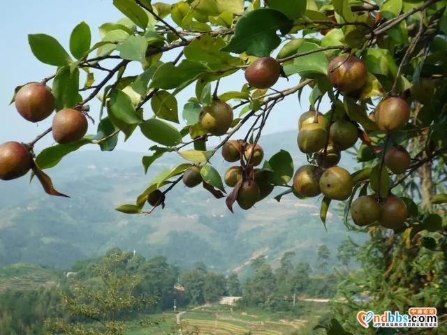 去过5A级景区，那你见过宁德5A的样子吗？-17.jpg